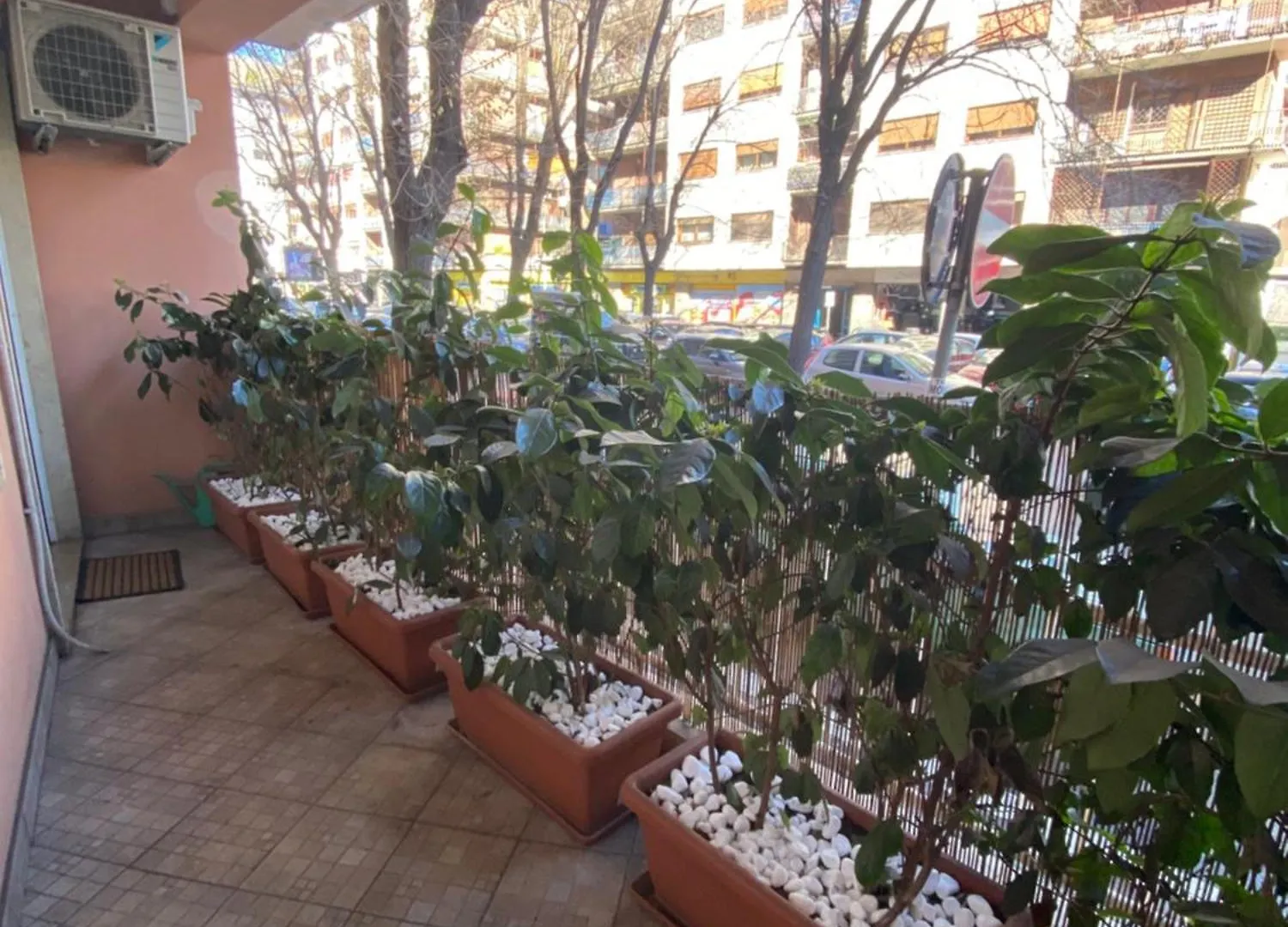 Pattoluxurysuite Appartamento A Roma Quartiere Trieste - Vicino Metro B1 Italia